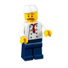 Конструктор LEGO Модульная сборка: приятные сюрпризы (31077) изображение 9