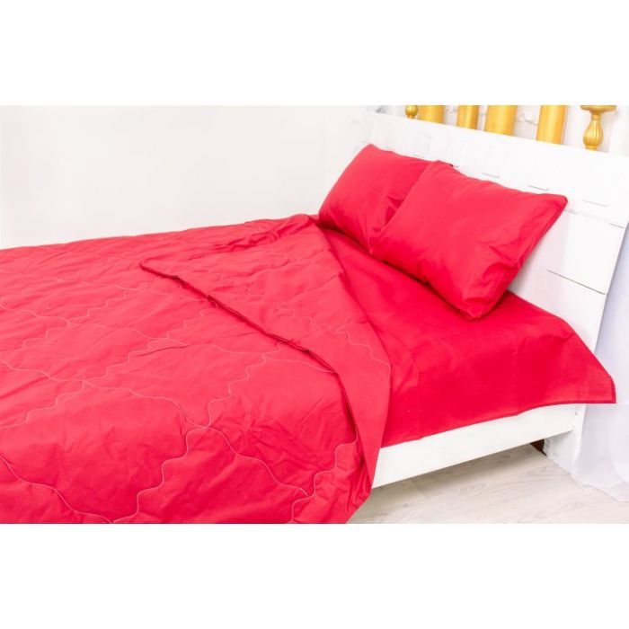 Одеяло MirSon Летний комплект №2616 EcoSilk 19-1655 Edmonda одеяло 2 х 140 (2200003109801) изображение 2