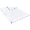 Ковдра MirSon антиалергенна Royal Eco-Soft Hand Made 828 Зима 155x215 см (2200000622570)