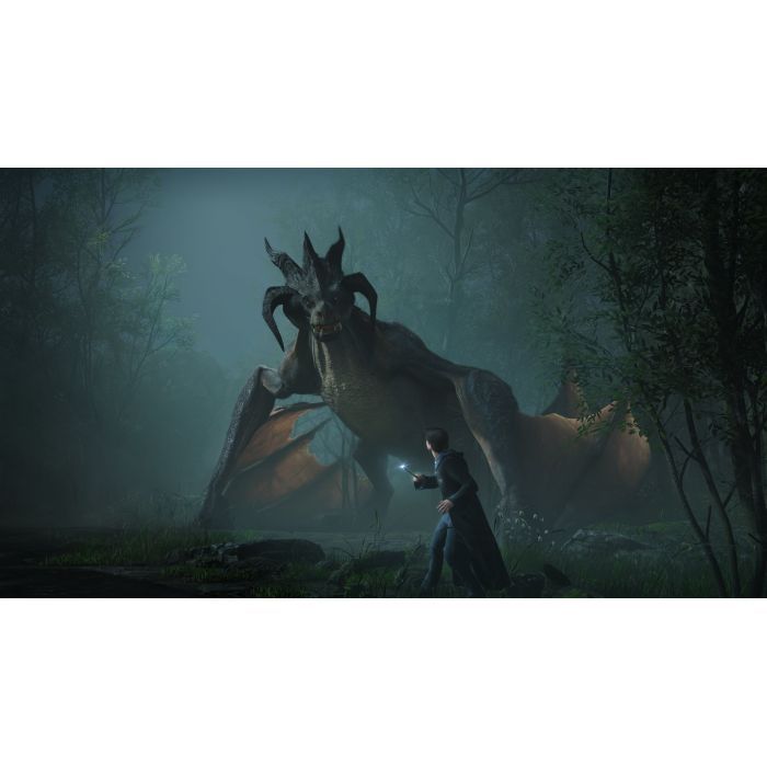 Игра Sony Hogwarts Legacy, BD диск (5051895413418) изображение 6