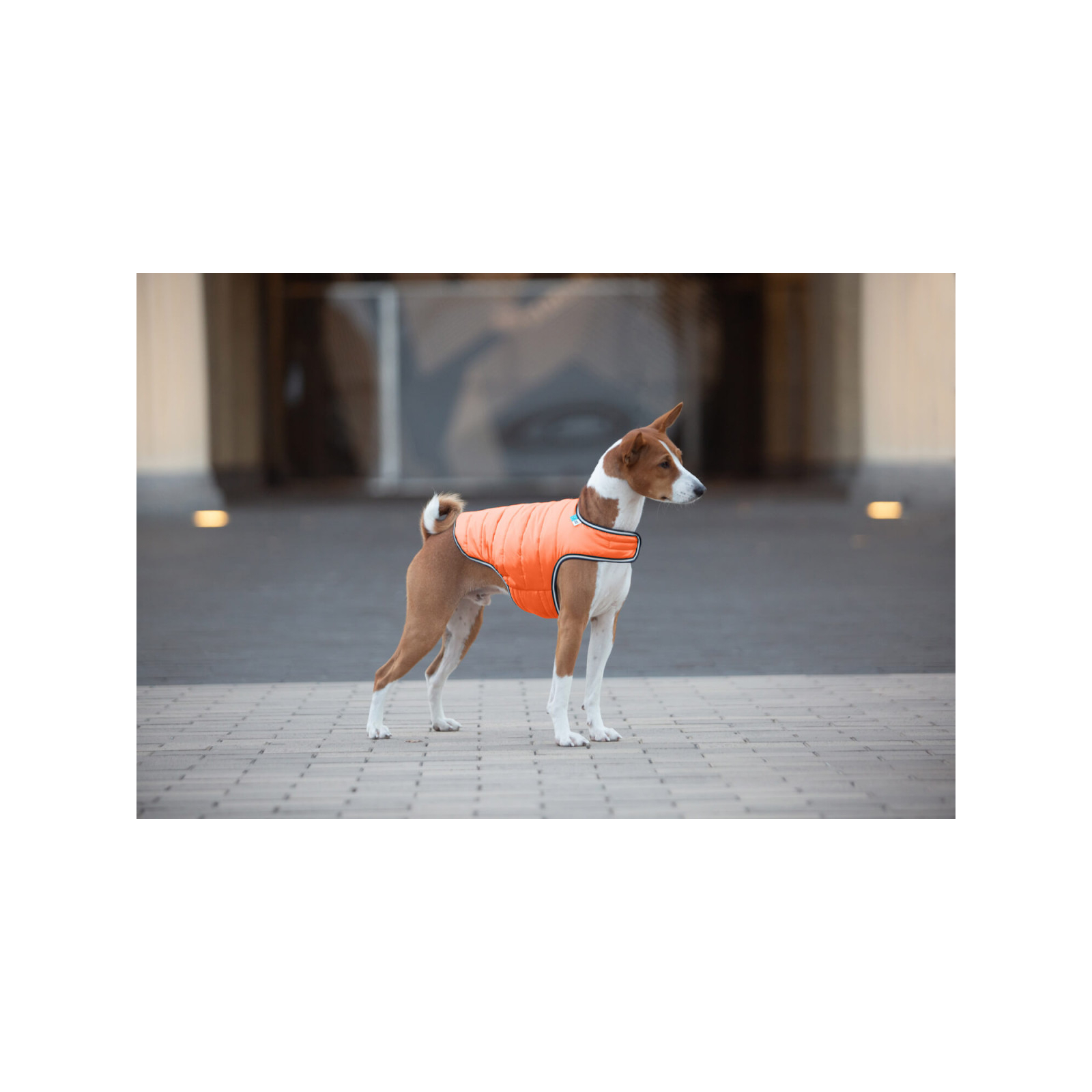 Курточка для животных Airy Vest XXS оранжевая (15404) изображение 3