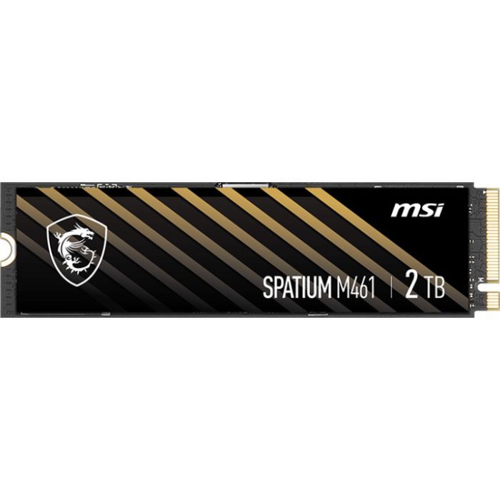 Накопитель SSD M.2 2280 2TB M461 MSI (S78-440Q550-P83)