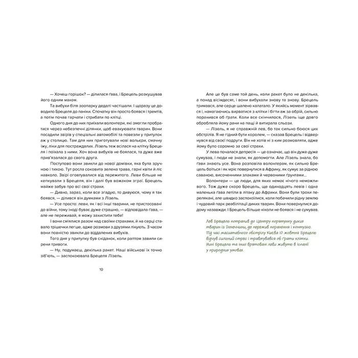 Книга Єнот Ракета та інші герої - Євгенія Завалій Видавництво Старого Лева (9789664481868) зображення 4