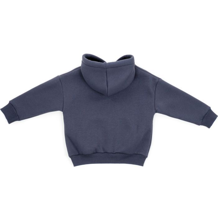 Кофта дитяча Cloise худи флісова (CL0115008-104-gray) зображення 2