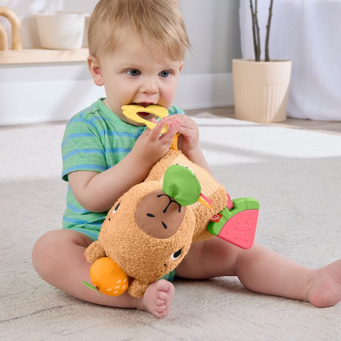 Развивающая игрушка Fisher-Price Капибара (HYR54) изображение 11