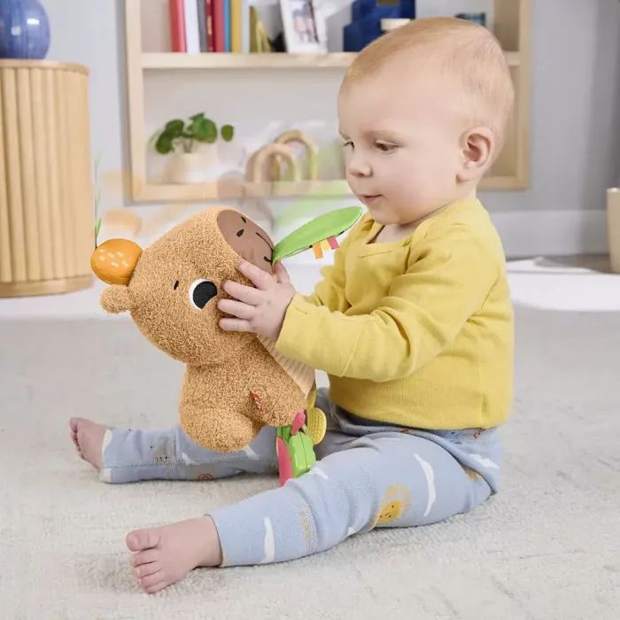 Развивающая игрушка Fisher-Price Капибара (HYR54) изображение 12
