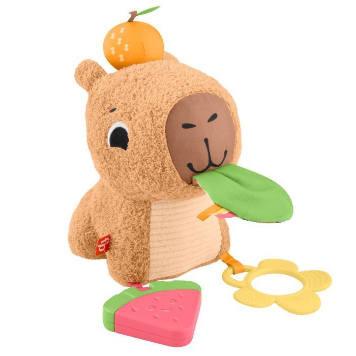 Развивающая игрушка Fisher-Price Капибара (HYR54)
