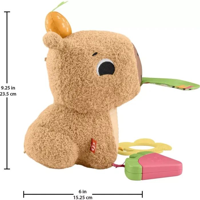 Развивающая игрушка Fisher-Price Капибара (HYR54) изображение 7