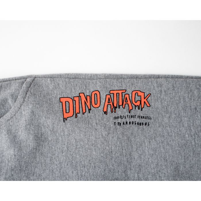 Спортивный костюм детский Breeze с динозавром (22167-110B-mint) изображение 7