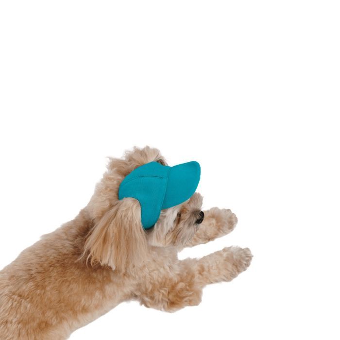 Кепка для животных Pet Fashion Topaz S (4823082446001) изображение 4