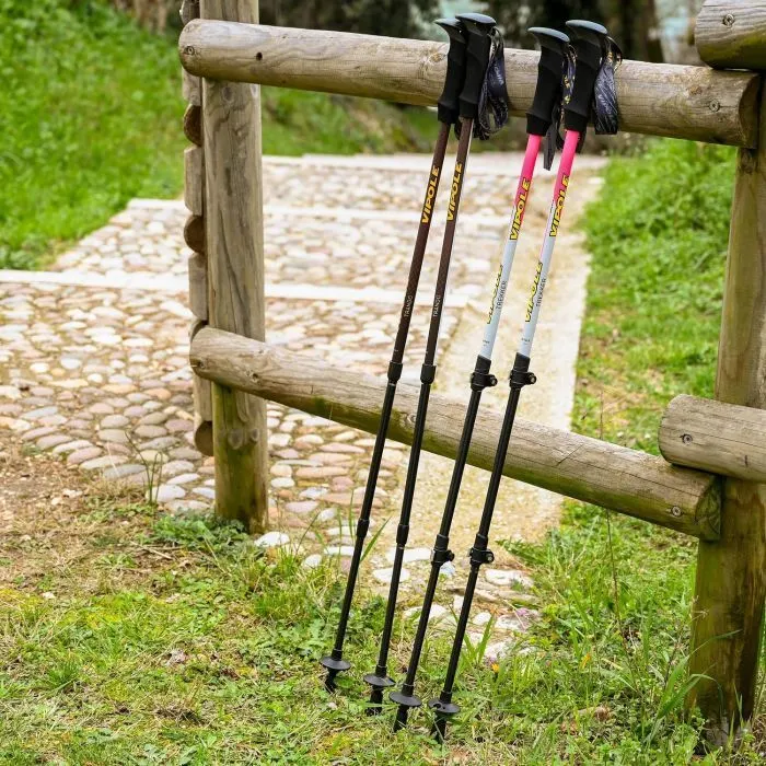 Трекінгові палиці Vipole Trekker Violet (S25 11) (DAS303452) зображення 11