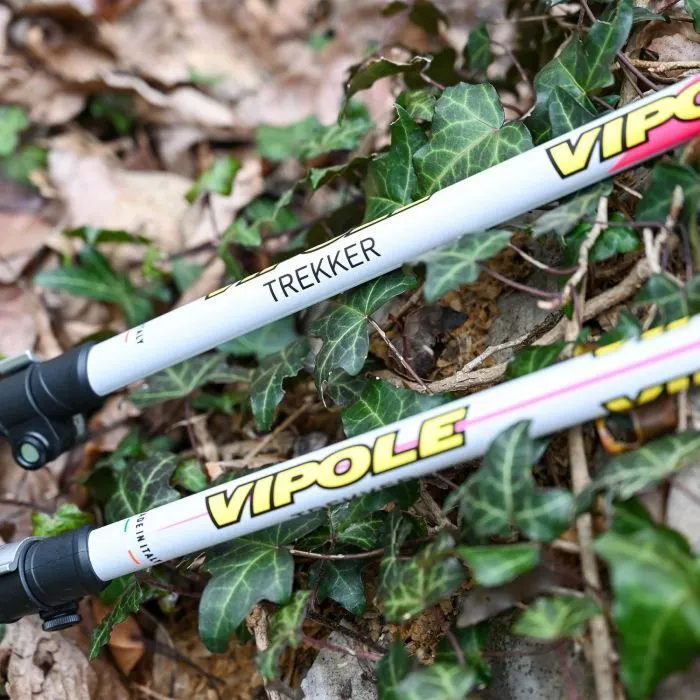 Трекінгові палиці Vipole Trekker Violet (S25 11) (DAS303452) зображення 6