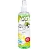 Антисептик для рук Patron Green Apple 100 мл (F3-036)