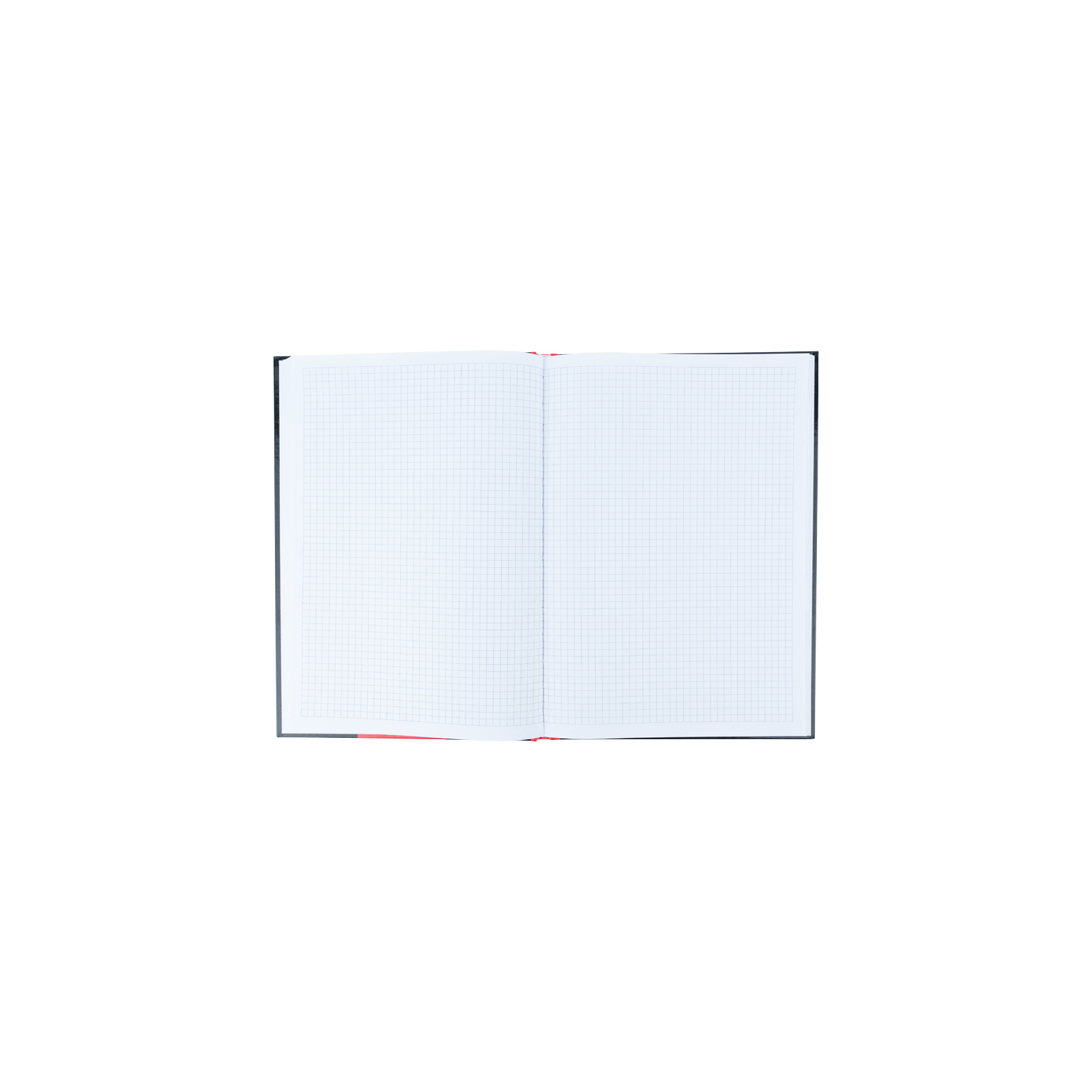 Книга записна Axent Colors А4, 80 аркушів, клітинка, блакитна (8421-05-A) зображення 4