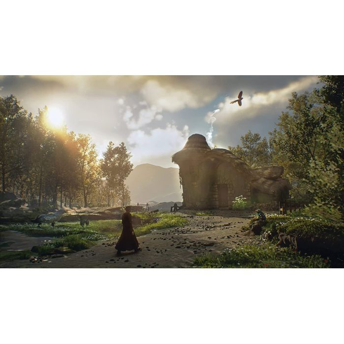 Гра Sony Hogwarts Legacy. Deluxe Edition, BD диск (5051895415412) зображення 2