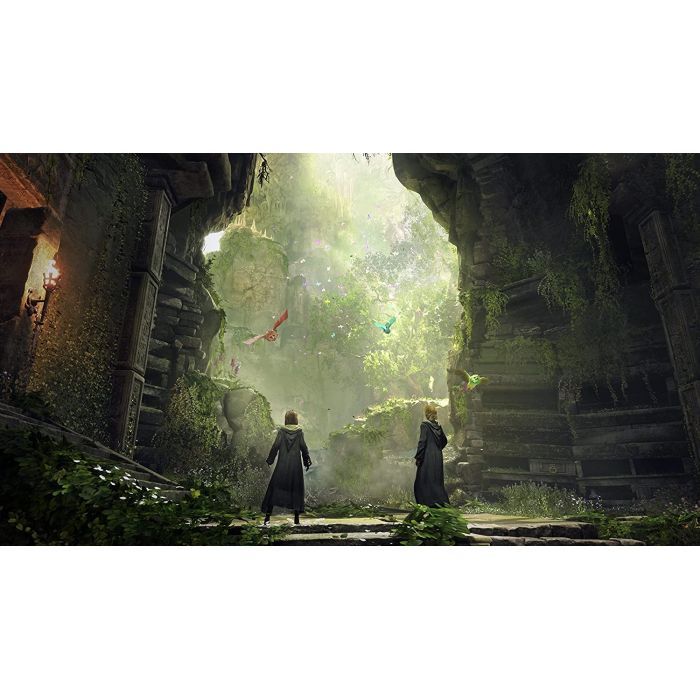 Гра Sony Hogwarts Legacy. Deluxe Edition, BD диск (5051895415412) зображення 5