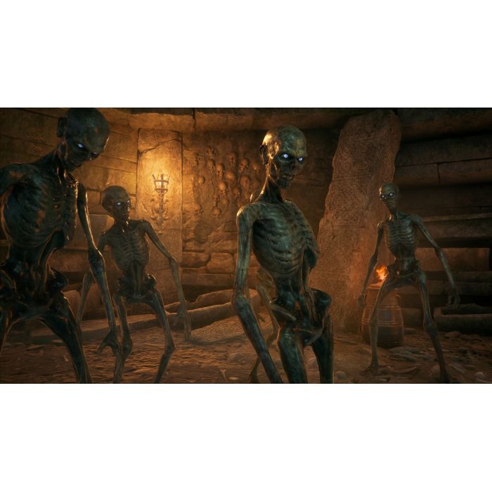 Игра Sony Hogwarts Legacy. Deluxe Edition, BD диск (5051895415412) изображение 8