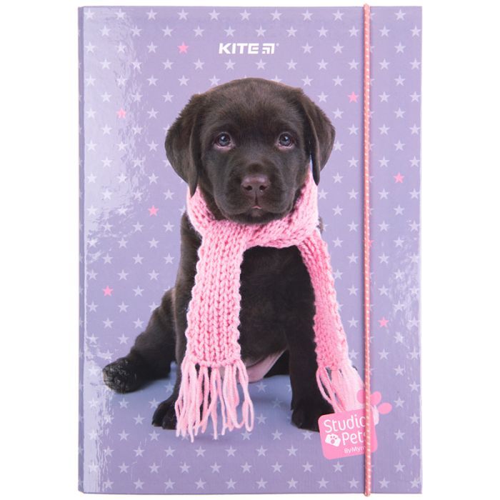 Папка для зошитів Kite В5 на гумці Studio Pets, картон (SP23-210) зображення 2