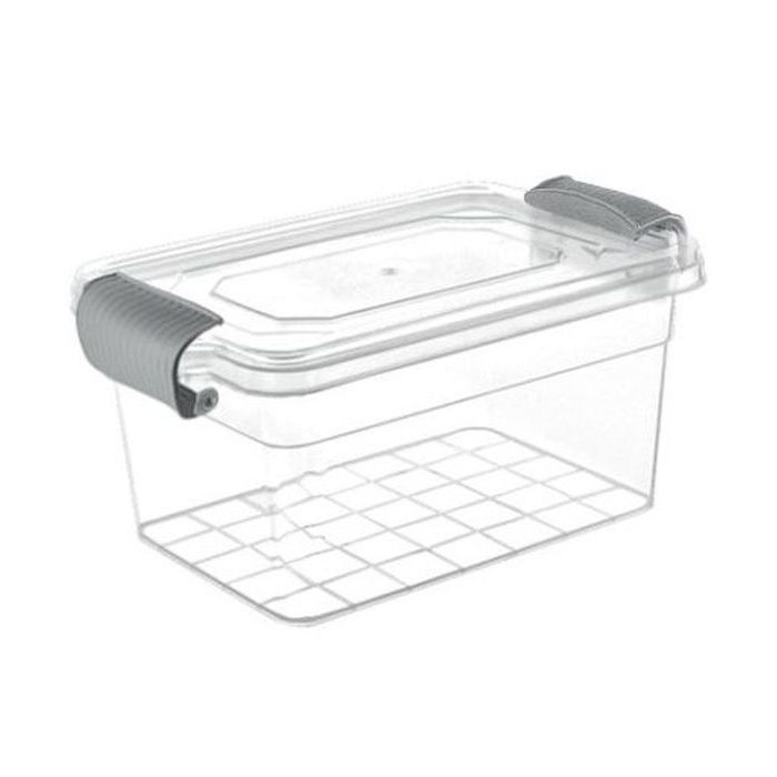 Харчовий контейнер Violet House Family Box Grey 1 л (0461 FAMILY BOX прям. 1 л)