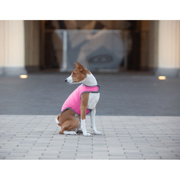 Курточка для тварин Airy Vest XXS помаранчева (15404) зображення 5