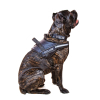 Шлея для собак Dog Extreme Police N4 з ліхтариком 70-100 см червона (07073) зображення 3