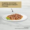 Вологий корм для кішок Purina Gourmet Gold. Подвійне задоволення з кроликом і печінкою 85г (7613031381081) зображення 3