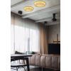 Светильник Candellux 98-66213 MERLE (98-66213) изображение 6