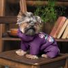 Костюм для тварин Pet Fashion LOLA ХS (4823082432417) зображення 5