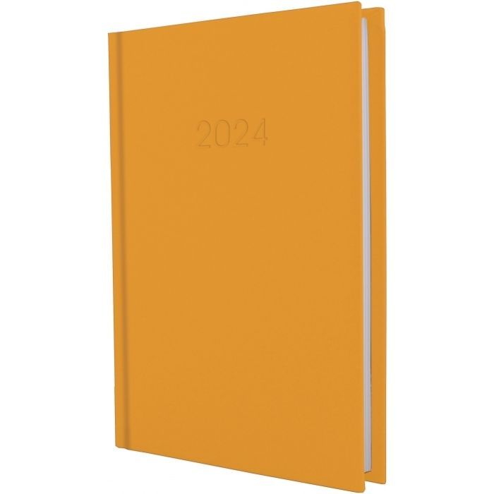 Тижневик Economix датований 2024 SATIN помаранчевий, А5 (E21612-06)