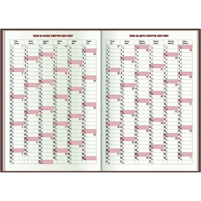 Тижневик Economix датований 2024 SATIN помаранчевий, А5 (E21612-06) зображення 3