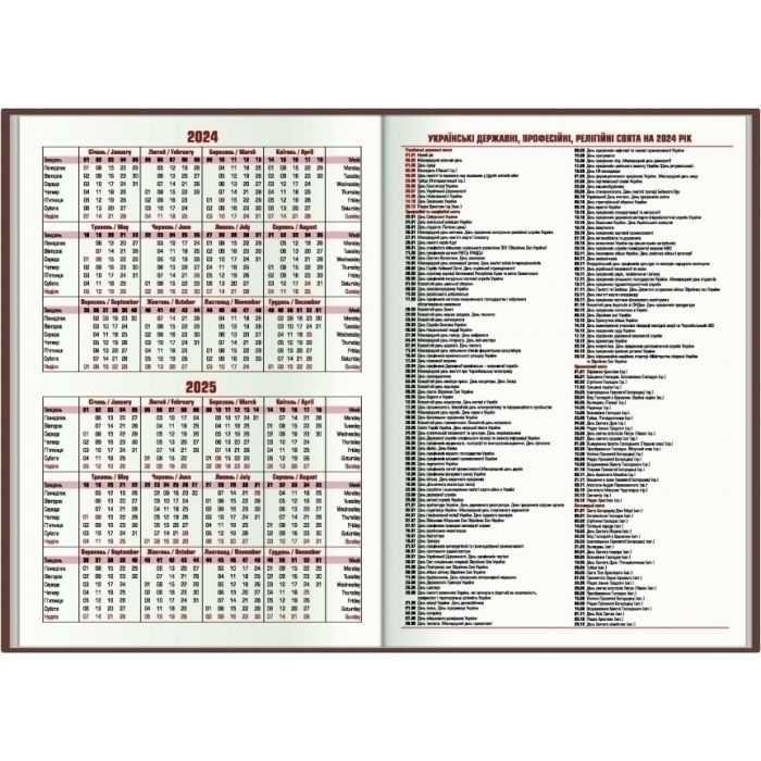 Тижневик Economix датований 2024 SATIN помаранчевий, А5 (E21612-06) зображення 4