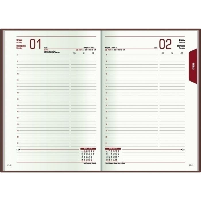 Тижневик Economix датований 2024 SATIN помаранчевий, А5 (E21612-06) зображення 5