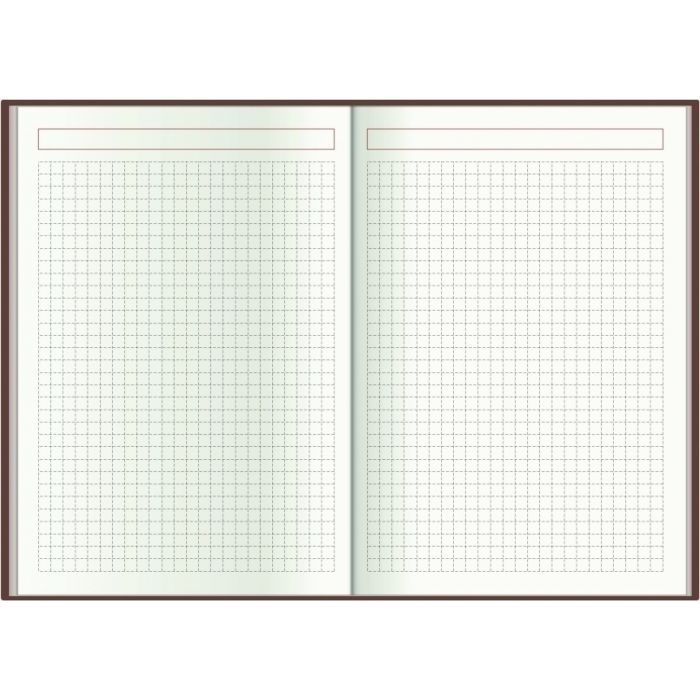 Тижневик Economix датований 2024 SATIN помаранчевий, А5 (E21612-06) зображення 6