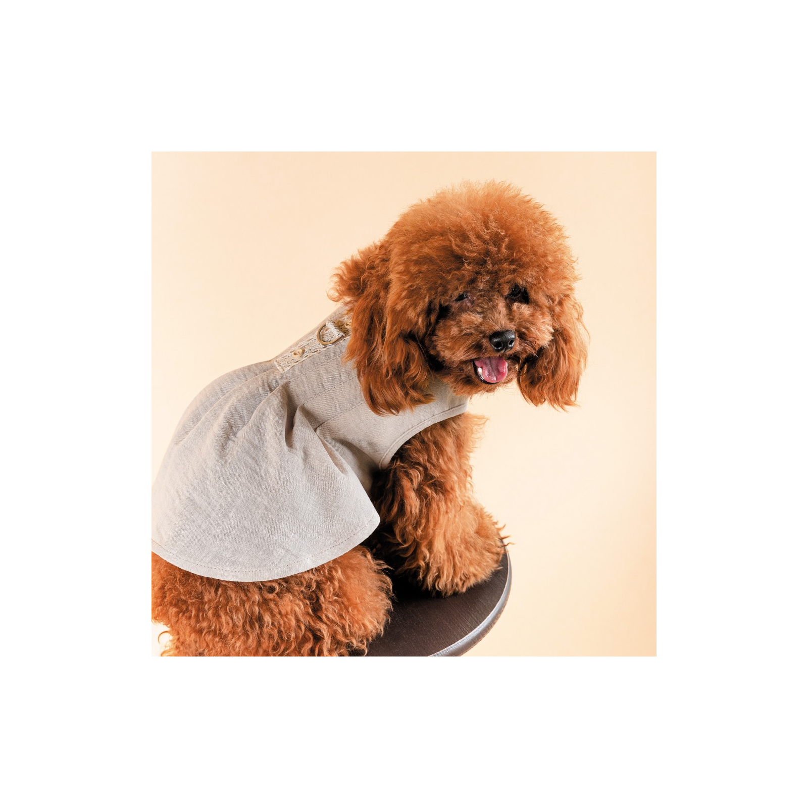 Платье для животных Pet Fashion Miya XS2 (4823082434473) изображение 5