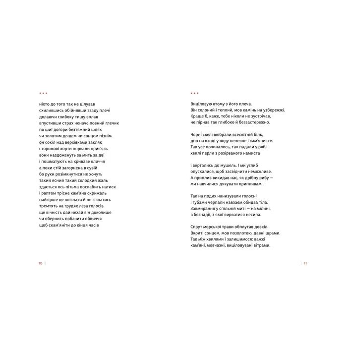 Книга Каміння і цвяхи - Юлія Мусаковська Видавництво Старого Лева (9789664482988) зображення 4