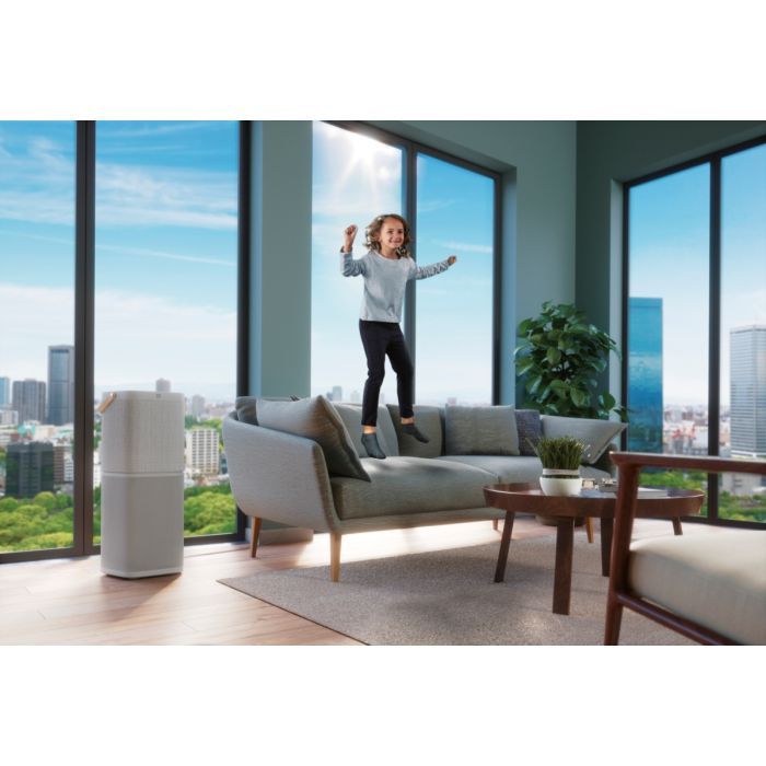 Очисник повітря Electrolux PA91-404GY зображення 11