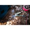 Мультитул Leatherman Skeletool CX Verdant (833123) изображение 10