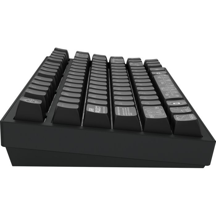 Клавиатура Dark Project ALU81 Terra Nova PBT RGB Mech G3MS Moonstone Black (DPKB_NOVA_81_ANSI_BLACK_UA) изображение 8