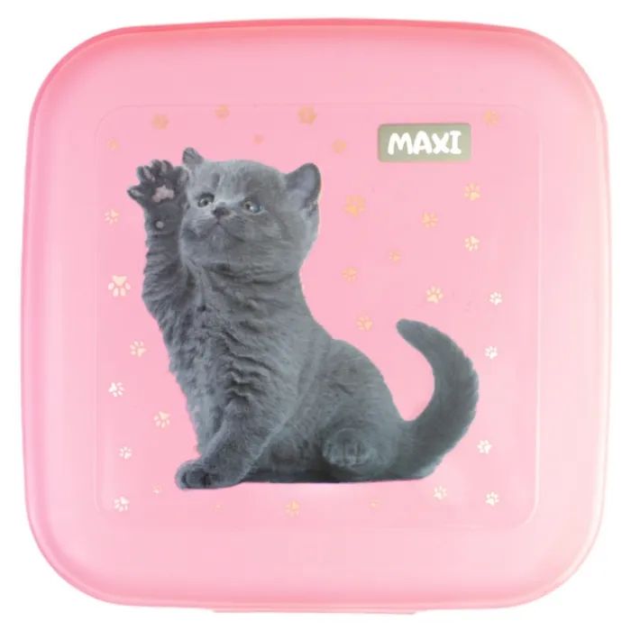 Ланч-бокс дитячий Maxi 850 мл (MX98138)