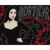 Картина по номерам Santi Wednesday Mysterious Morticia 40х50 см, алмазна мозаїка (955114) > ціни в Києві та Україні Картина по номерам Santi Wednesday Mysterious Morticia 40х50 см, алмазна мозаїка (955114)