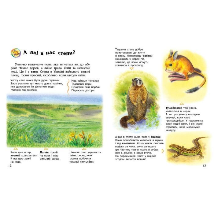 Книга Енциклопедія дошкільника. Україна - Юлія Каспарова Ранок (9786170999948) изображение 3