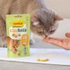 Ласощі для котів GimCat Kase Rollis з комплексом вітамінів сирні 40 г (4002064418728) зображення 2