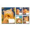 Зошит 1 вересня Sunny cat А5 18 аркушів клітинка (768771)