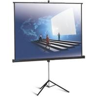Проекционный экран ProView 178x178см Projecta (10430113)