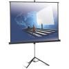 Проекционный экран ProView 178x178см Projecta (10430113)