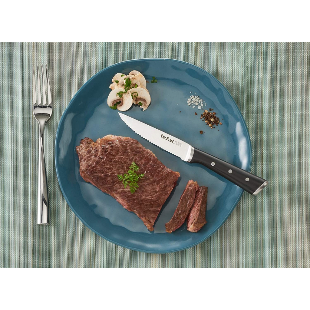 Набор ножей Tefal Ice Force для стейка 11 см 4 шт (K232S414) изображение 6