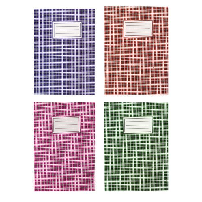 Канцелярская книга Buromax А4 , 48 листов, клетка (BM.2450)