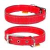 Нашийник для тварин Collar Dog Extremе 25 мм 38-48 см (червоний) (67043)