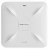 Точка доступа Wi-Fi Ruijie Networks RG-RAP2260(G)