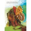 Книга Метелики перетворюються - Галина Вдовиченко Видавництво Старого Лева (9789664481349) изображение 11